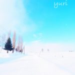 冬の北海道⑧冬の美瑛を徒歩で巡ったらとんでもない絶景に出会った話