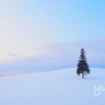冬の北海道旅⑨写真家「阿部俊一さん」に教わる冬の美瑛プレミアムフォトツアーに参加しました