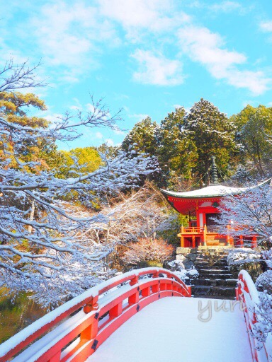 雪の京都リベンジ！美しすぎる雪の醍醐寺に感動