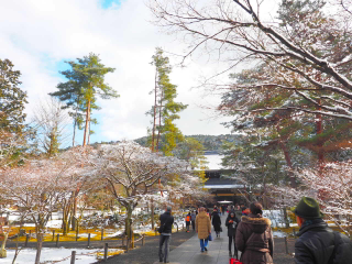 雪の京都リベンジ②南禅寺へ急ぐも、、