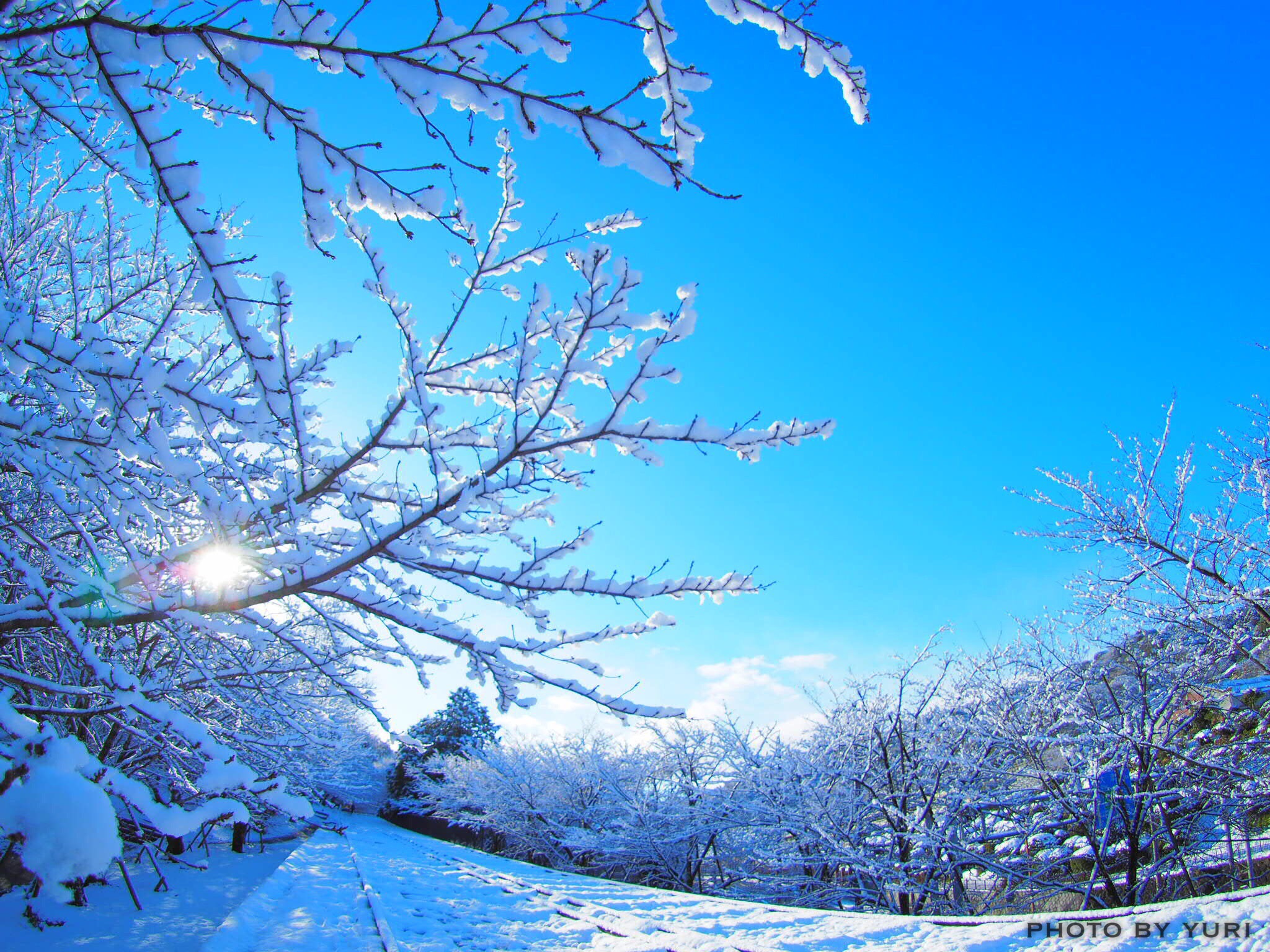 おすすめの京都の雪景色 写真撮影スポットと注意すべき時間帯 服装について