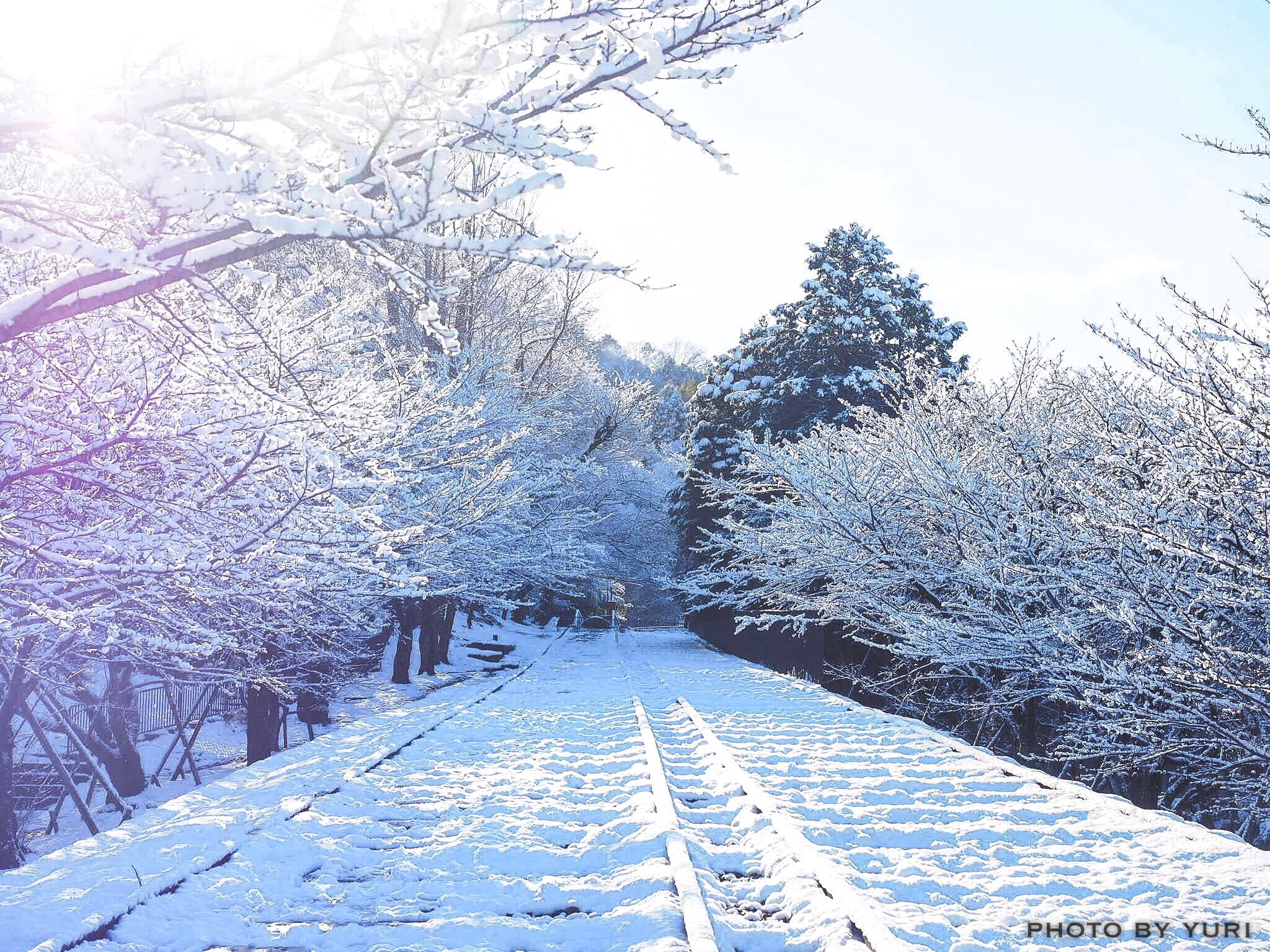 おすすめの京都の雪景色 写真撮影スポットと注意すべき時間帯 服装について