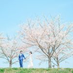 Zekkei Japanと 花 絶景 をテーマに コラボ壁紙を作成しました カラフルカメラライフ